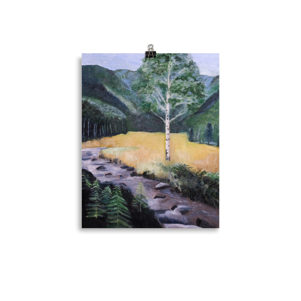 Birch tree and stream