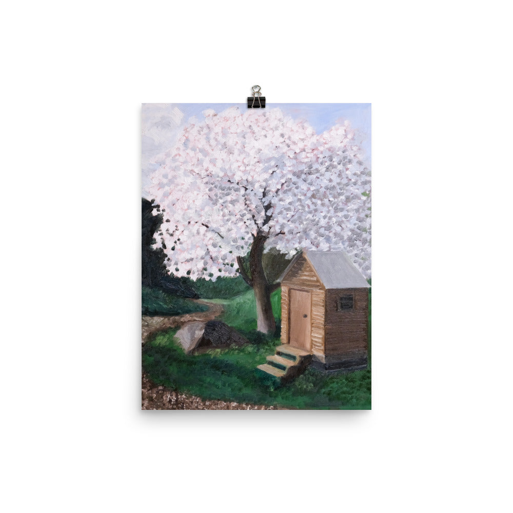 Cherry tree and outhouse