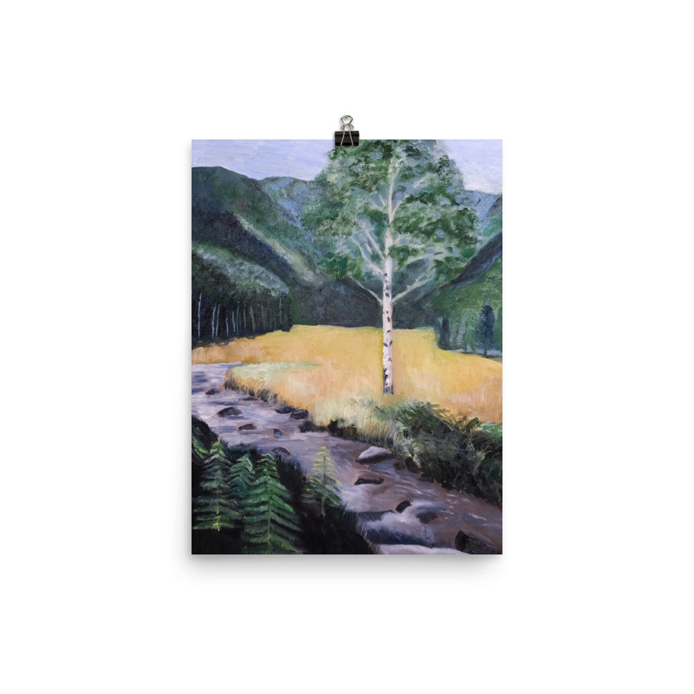 Birch tree and stream