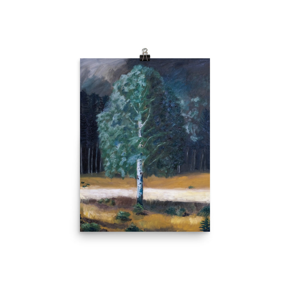 Birch tree