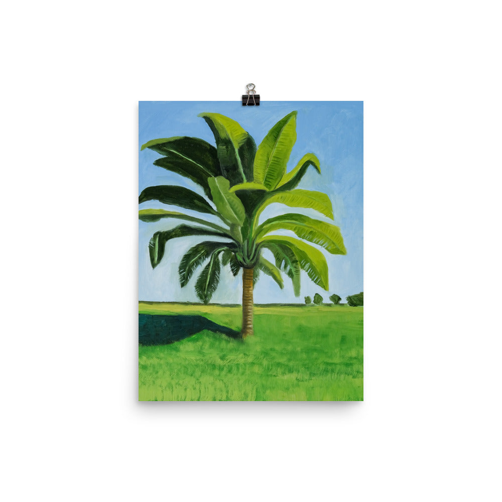 Landscape 8