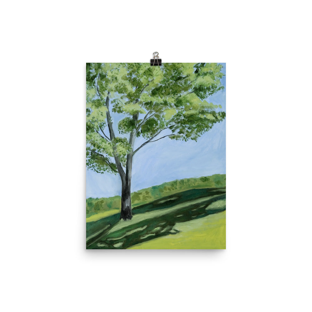 Landscape 10