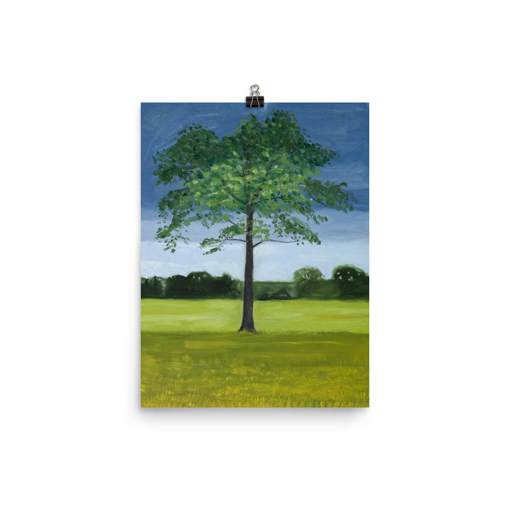 Landscape 12
