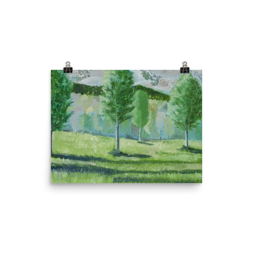 Landscape 16