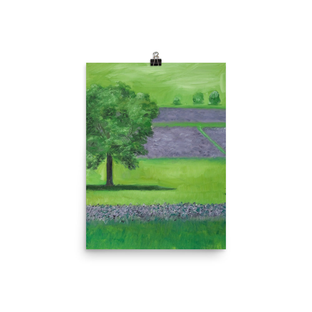 Landscape 19