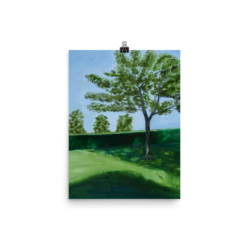 Landscape 28