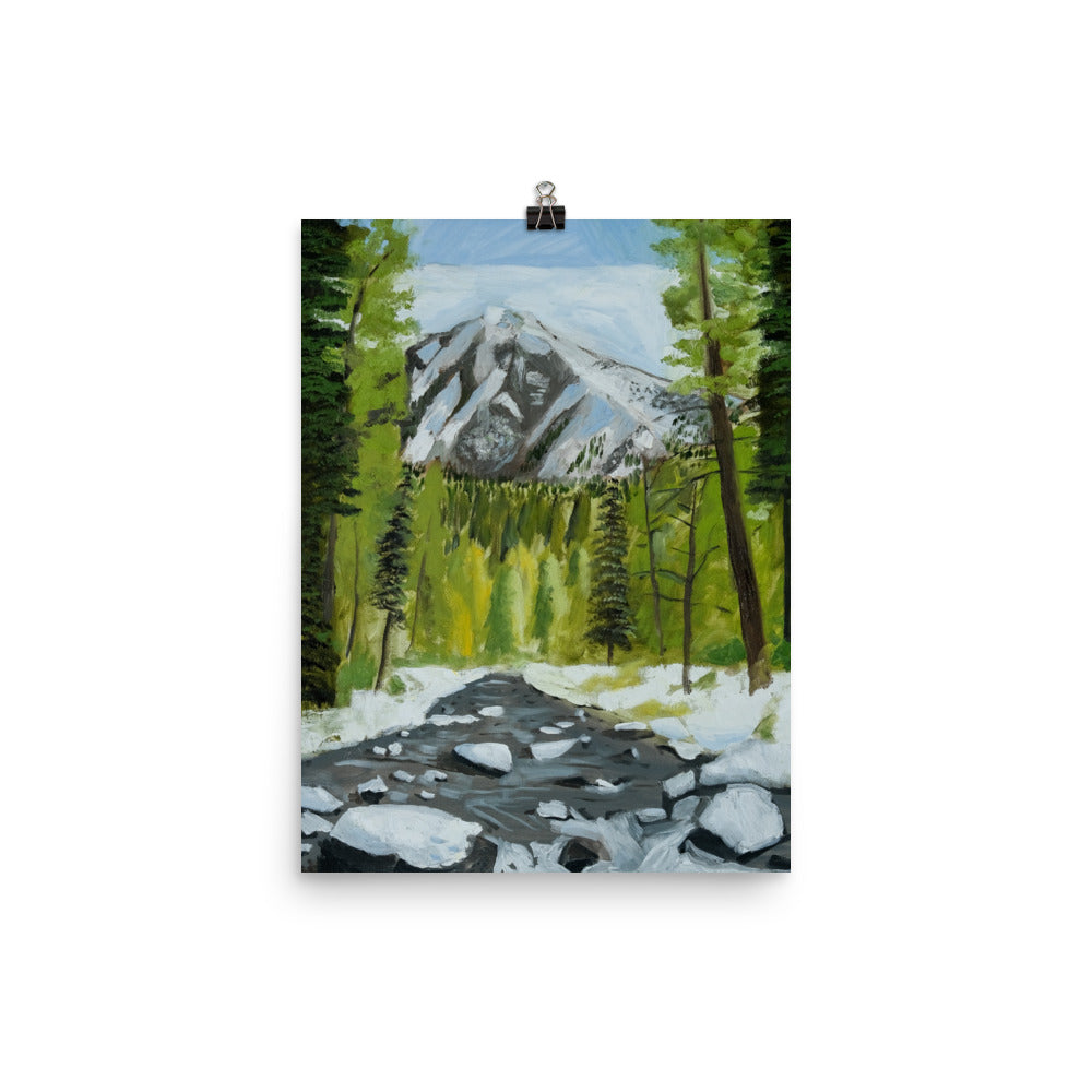 Landscape 29