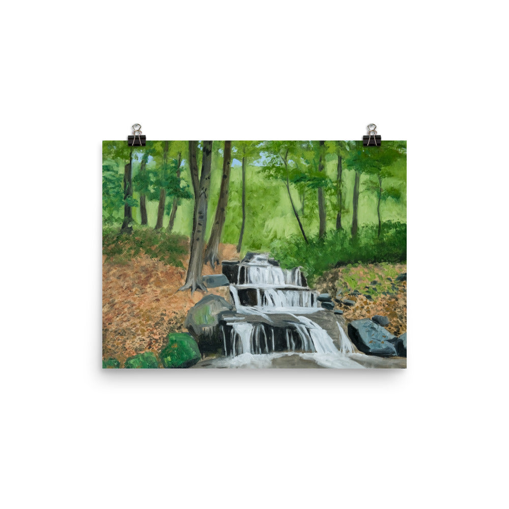 Landscape 31