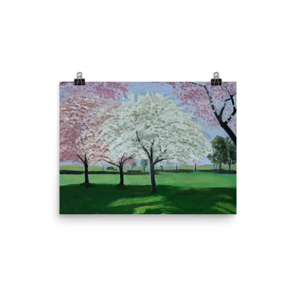 Landscape 33