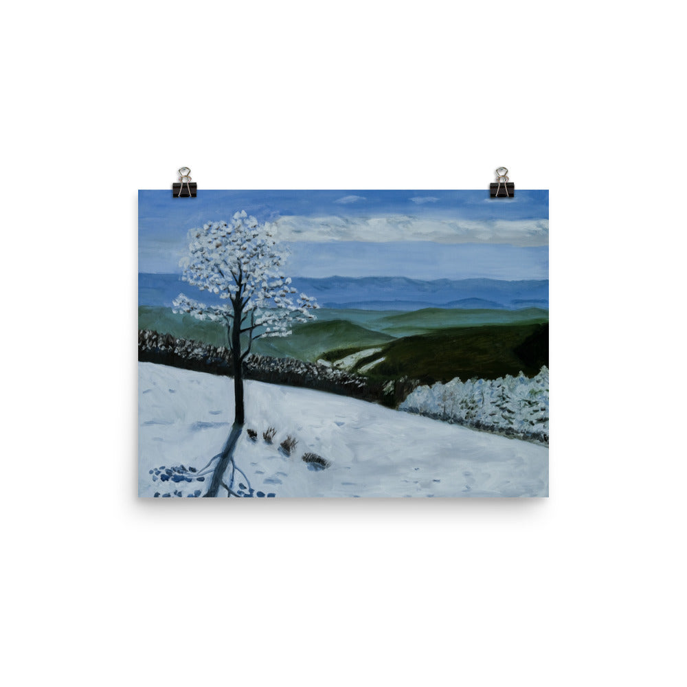 Landscape 34