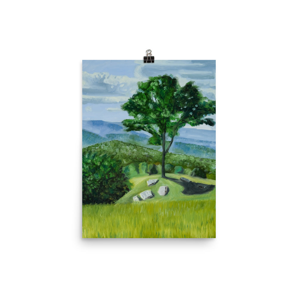 Landscape 36