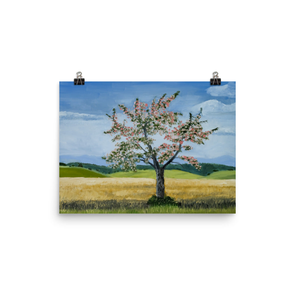 Landscape 38