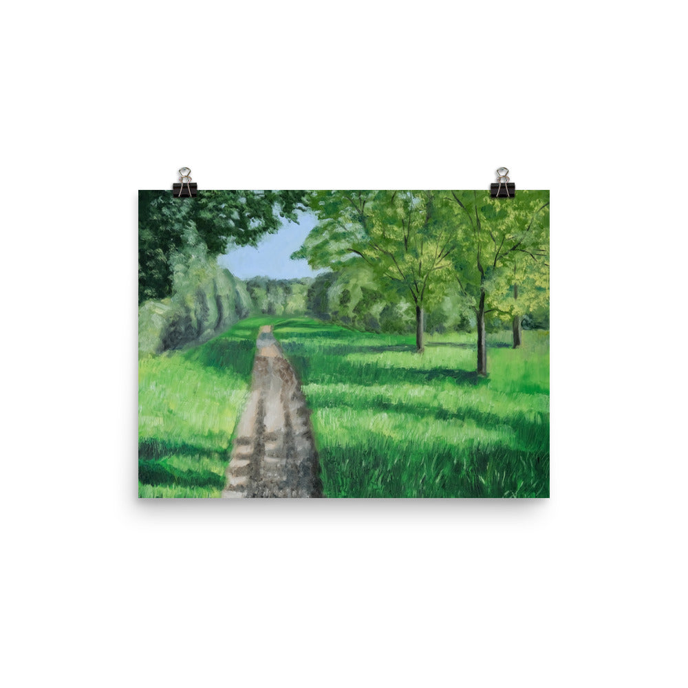 Landscape 39