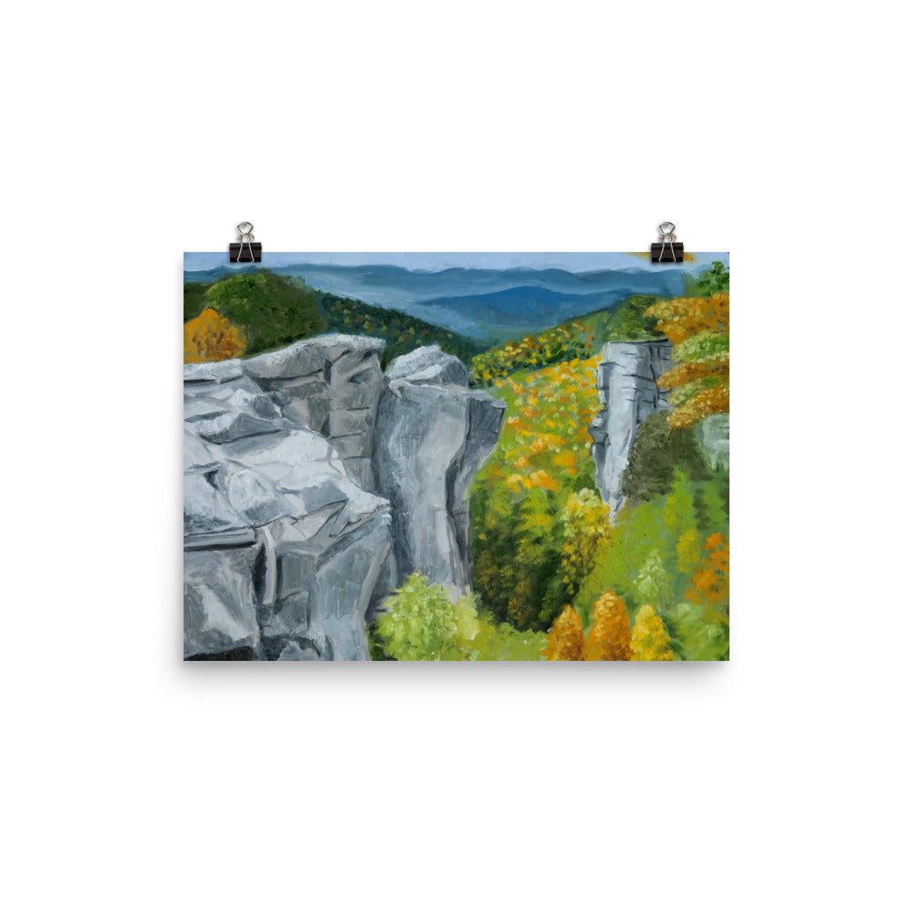Landscape 43