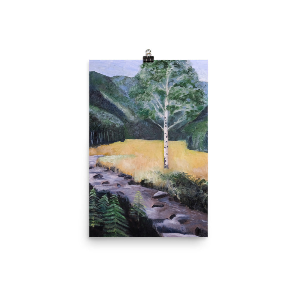 Birch tree and stream