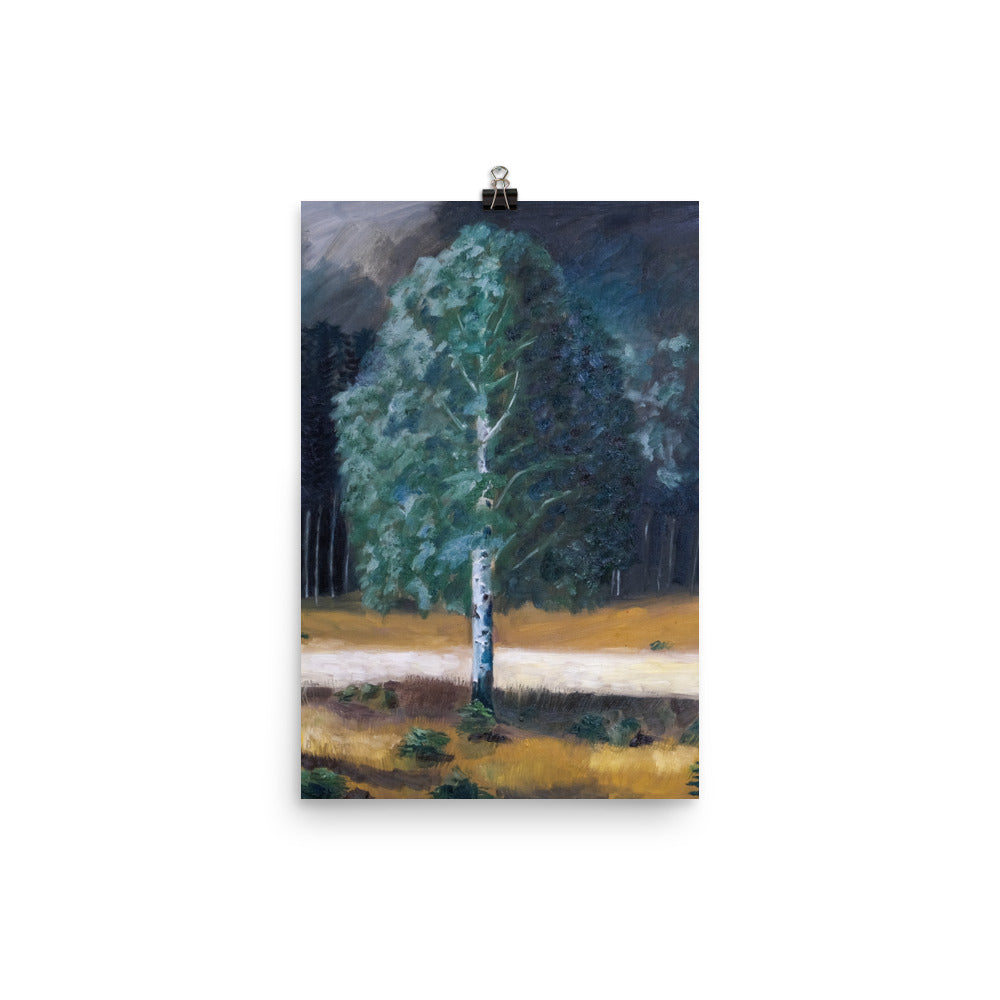 Birch tree