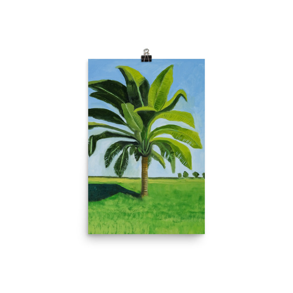 Landscape 8