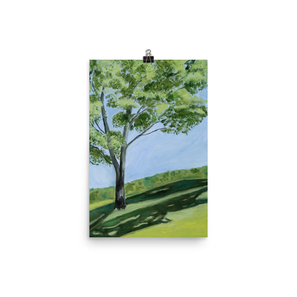Landscape 10
