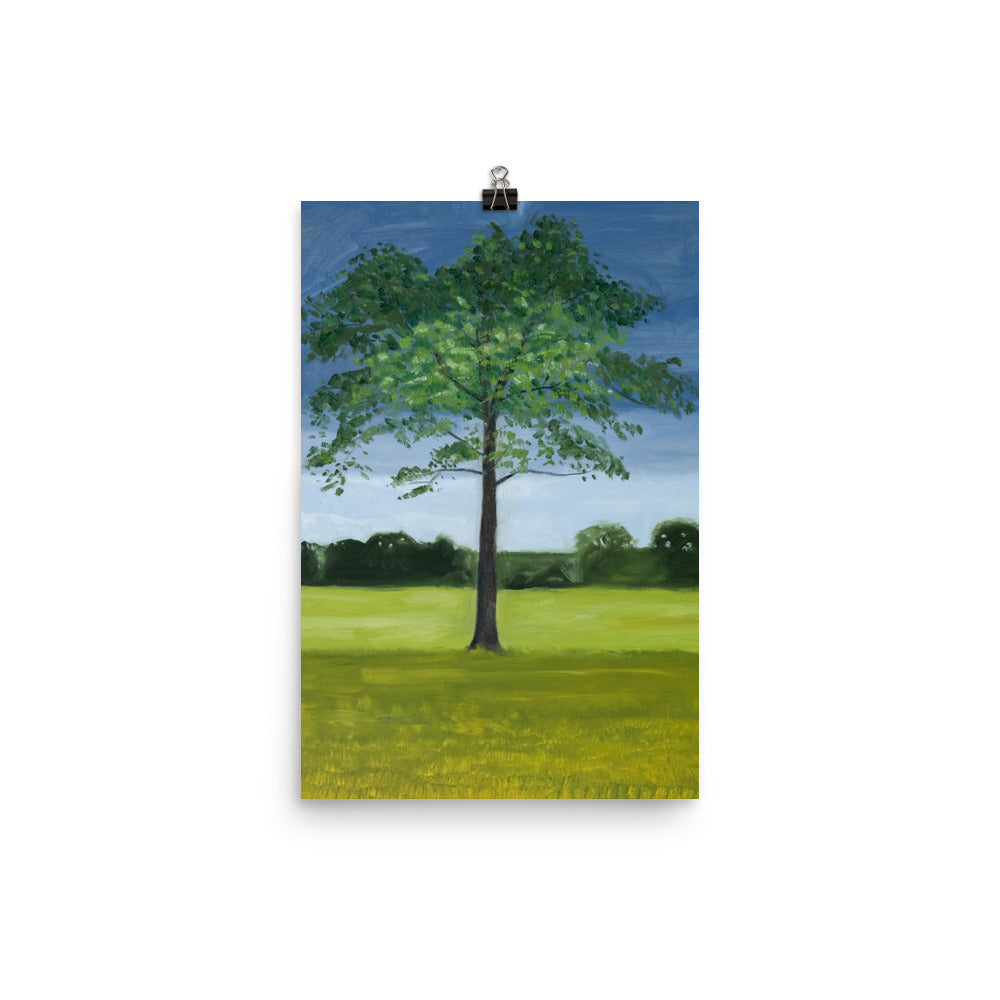 Landscape 12