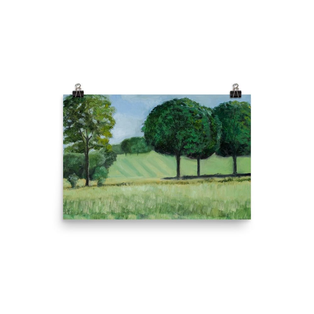Landscape 18