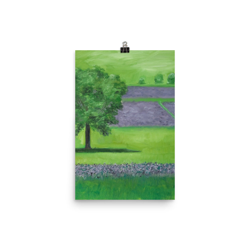 Landscape 19