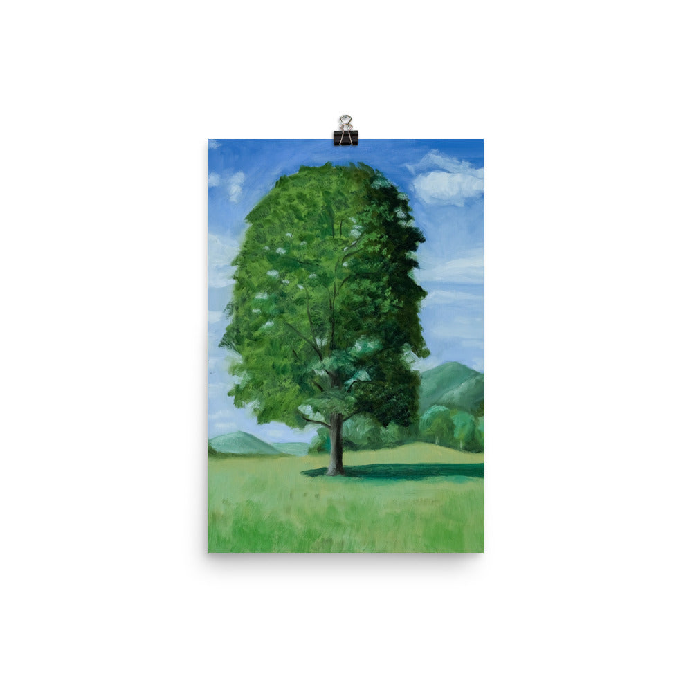 Landscape 20