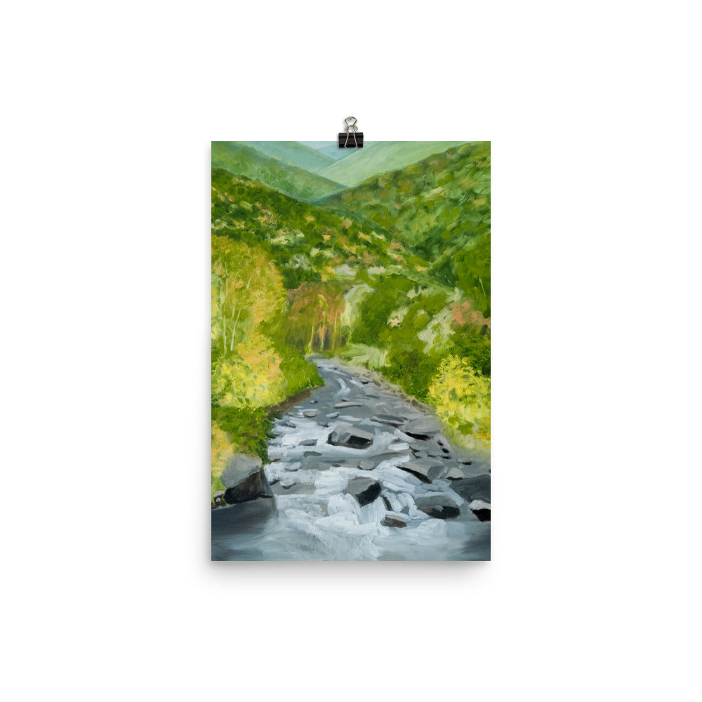 Landscape 25