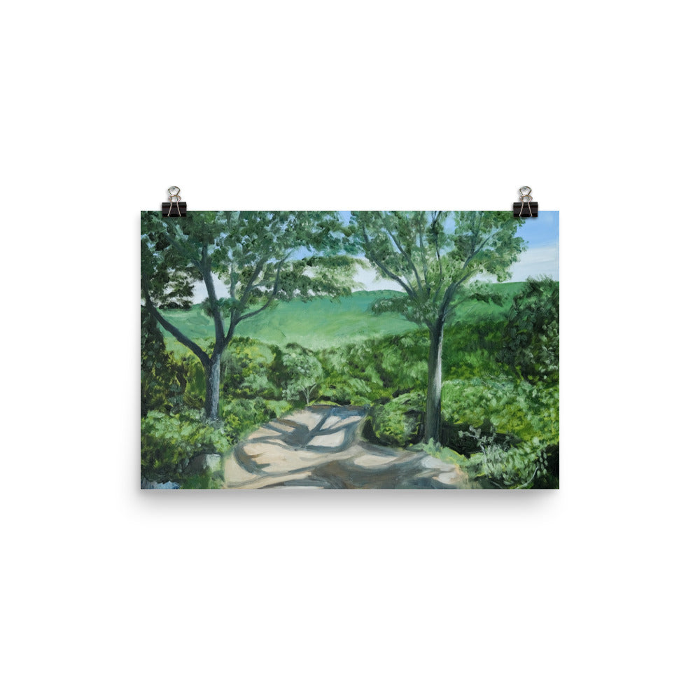 Landscape 27