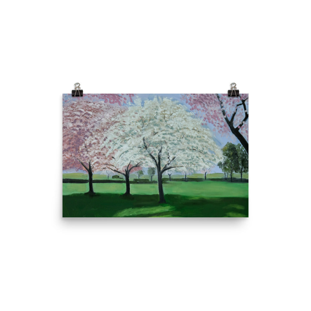 Landscape 33