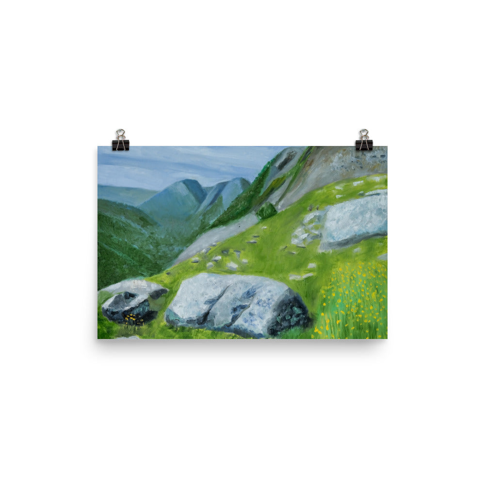 Landscape 37