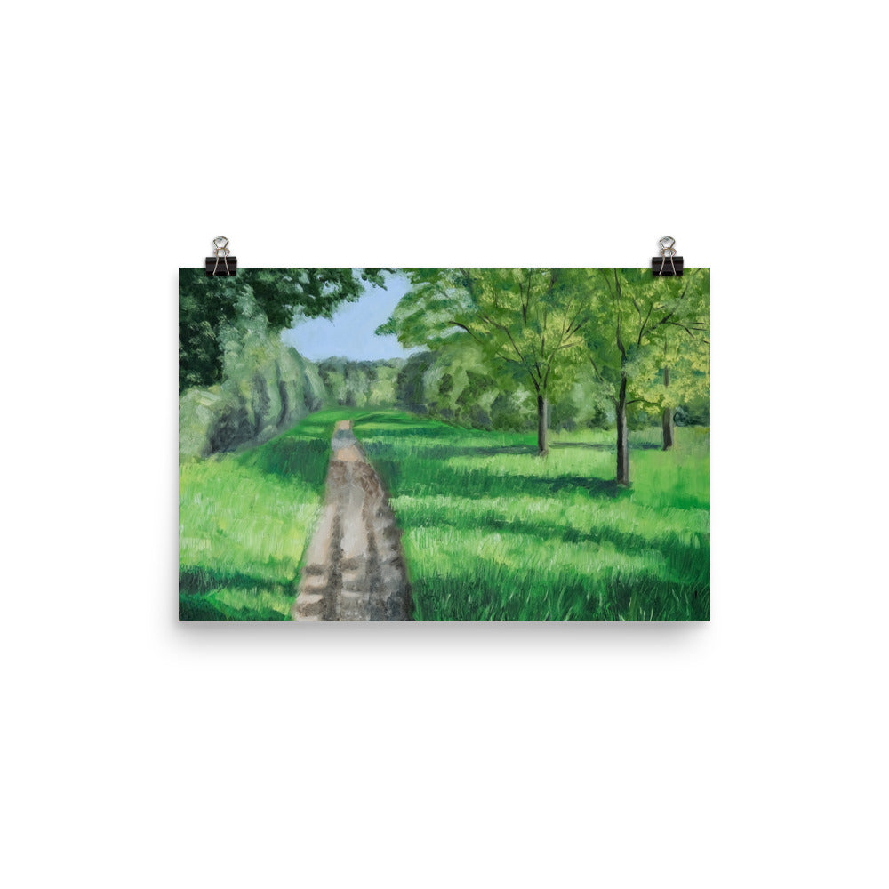 Landscape 39