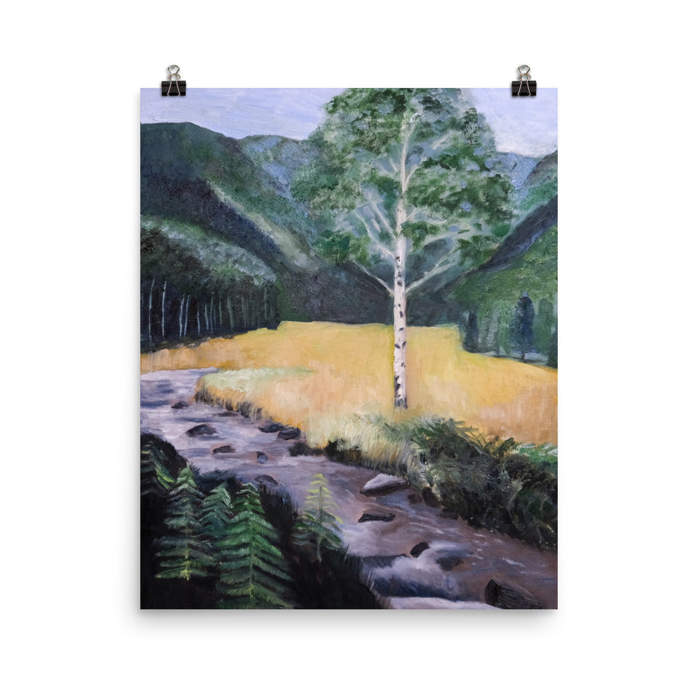 Birch tree and stream
