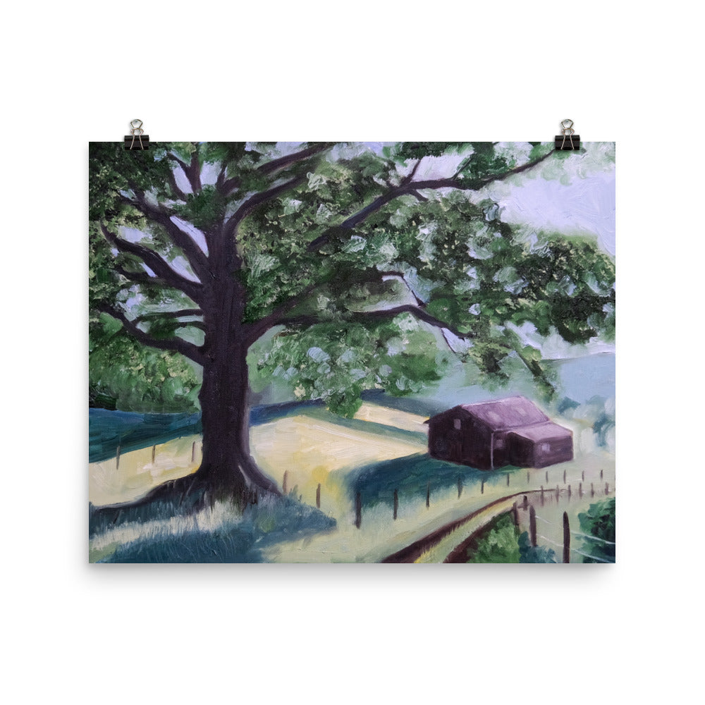 Oak tree and barn