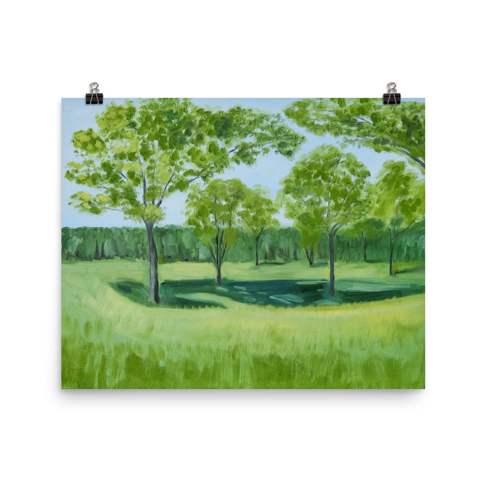 Landscape 4