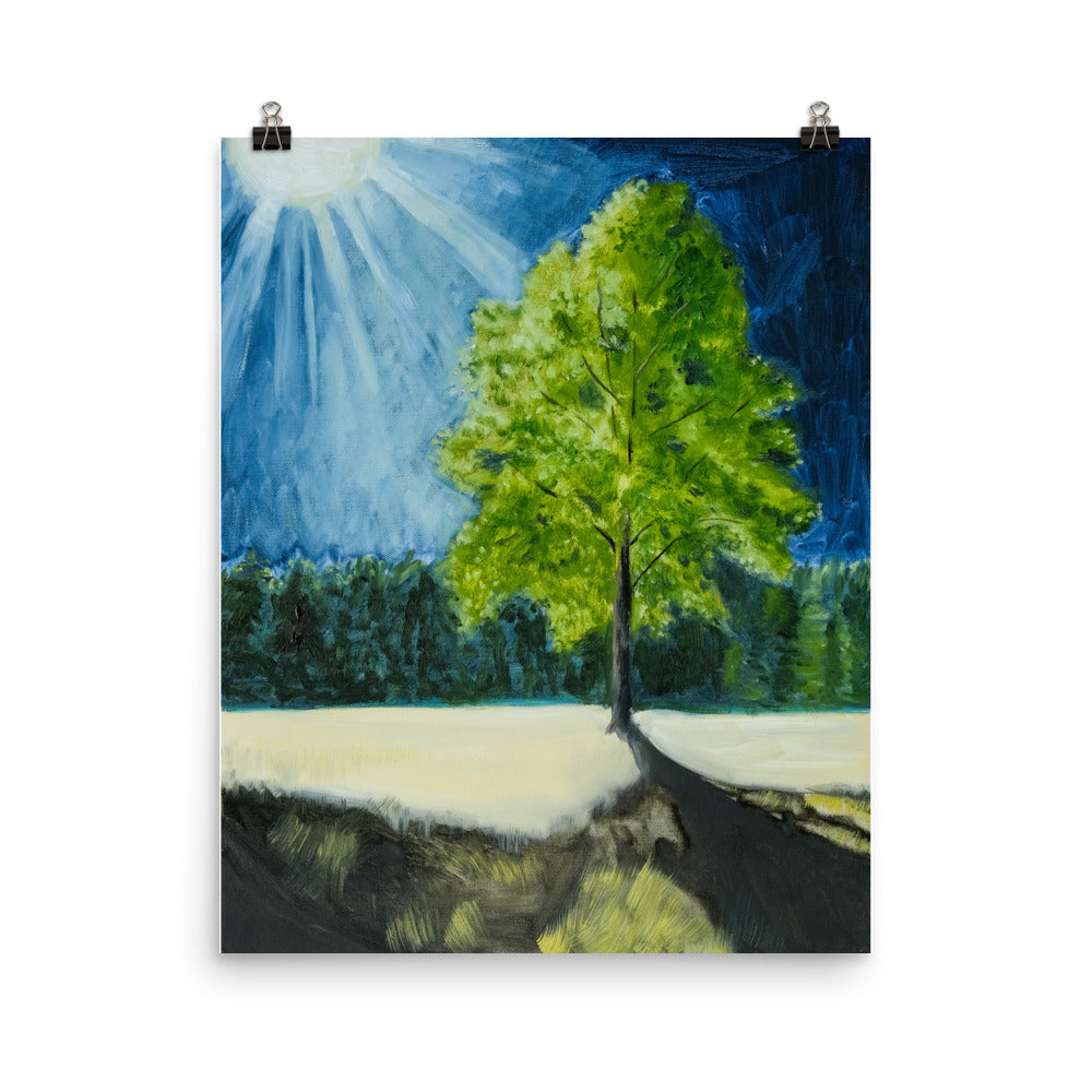Landscape 5
