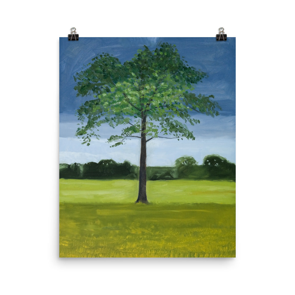 Landscape 12