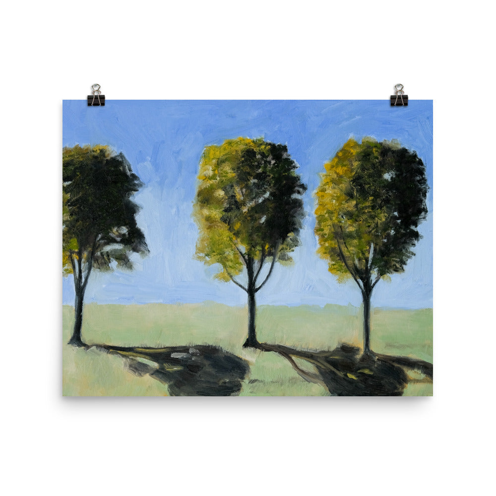 Landscape 14