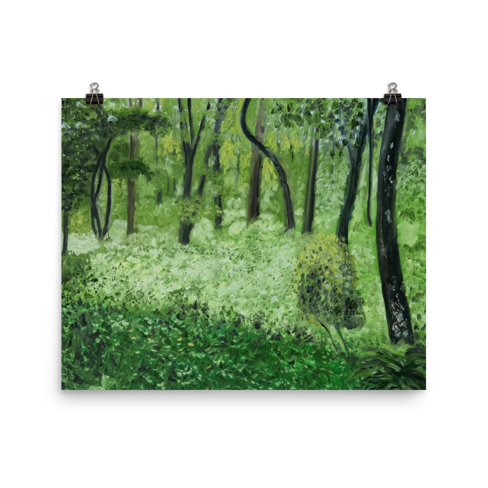 Landscape 24