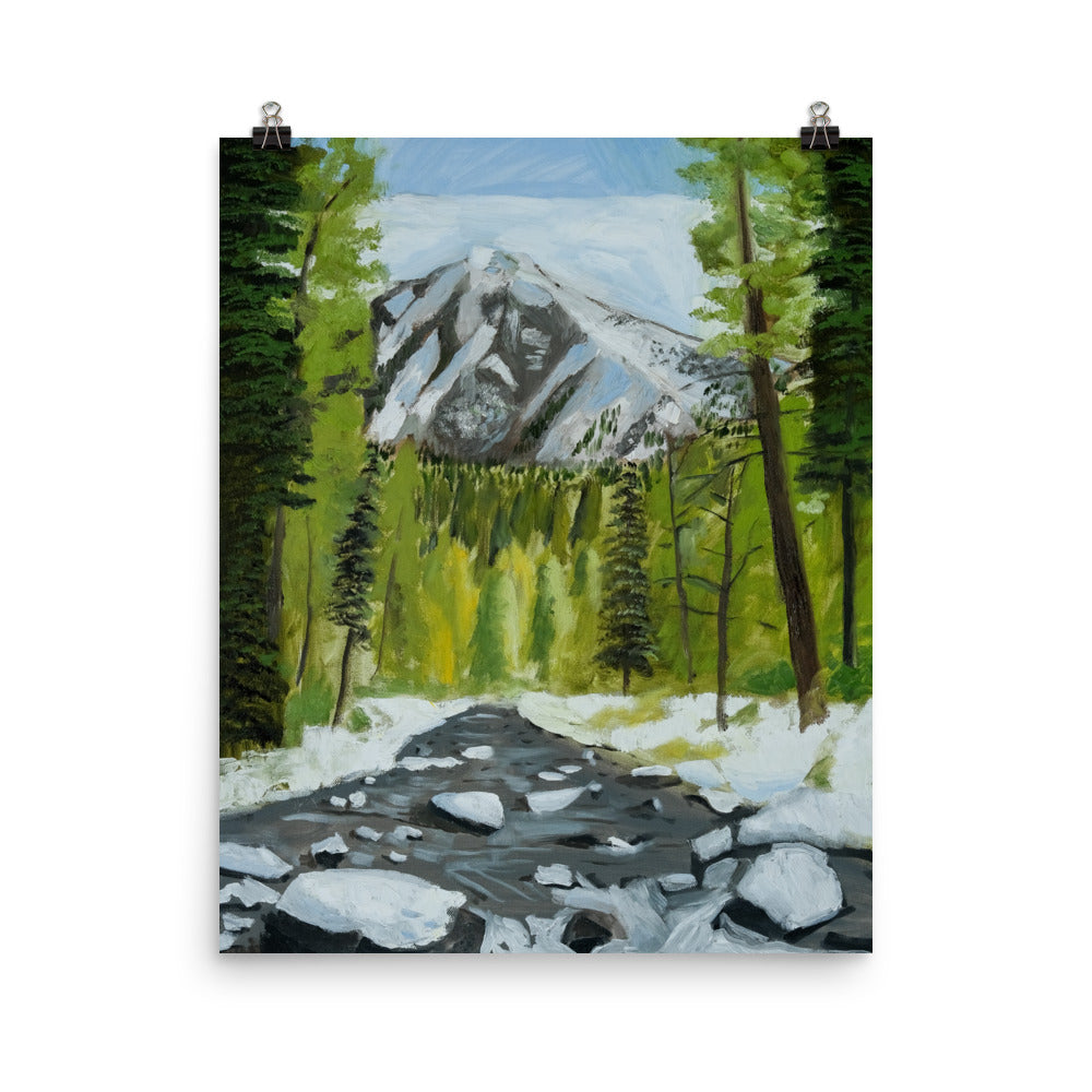 Landscape 29