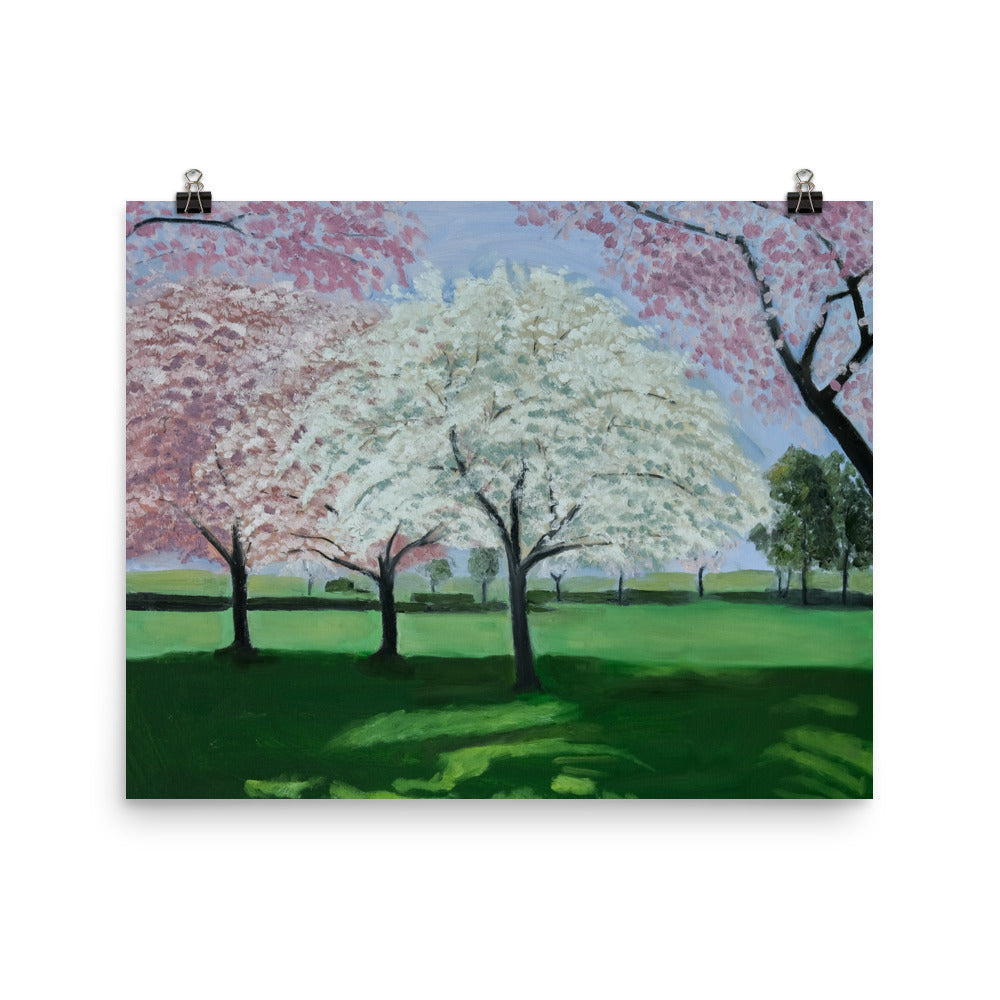 Landscape 33
