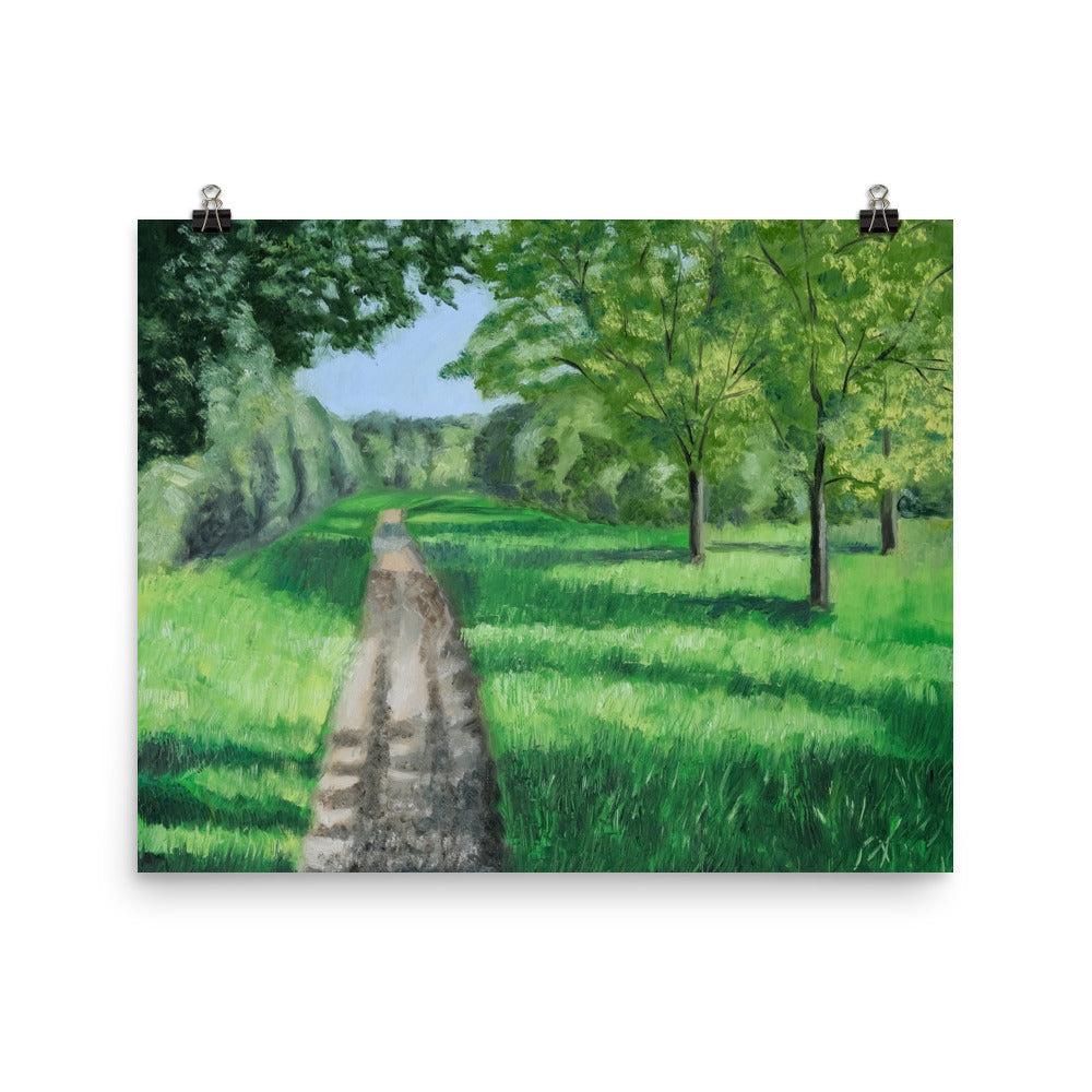 Landscape 39
