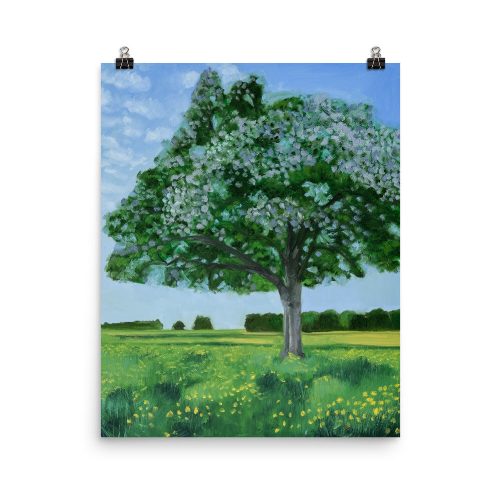 Landscape 42