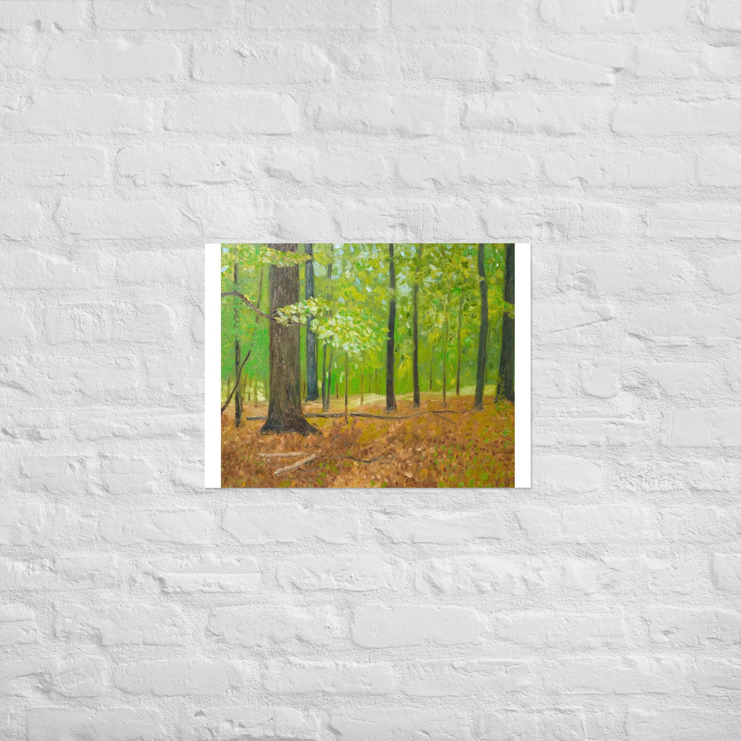 Forest with dead leaves