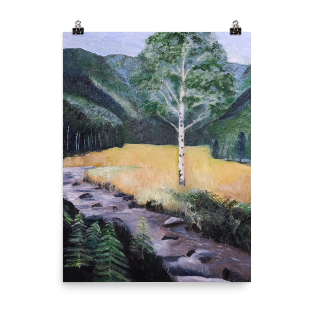 Birch tree and stream