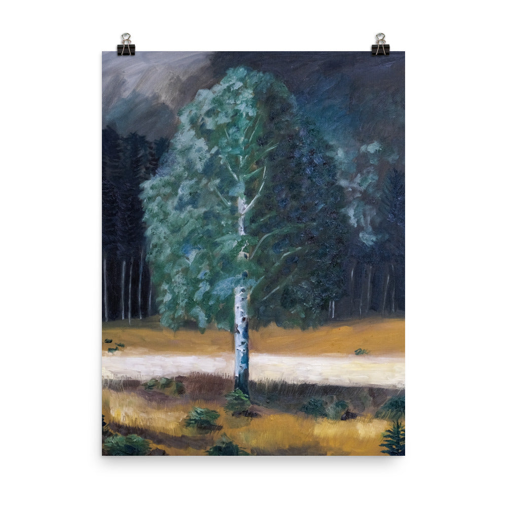 Birch tree