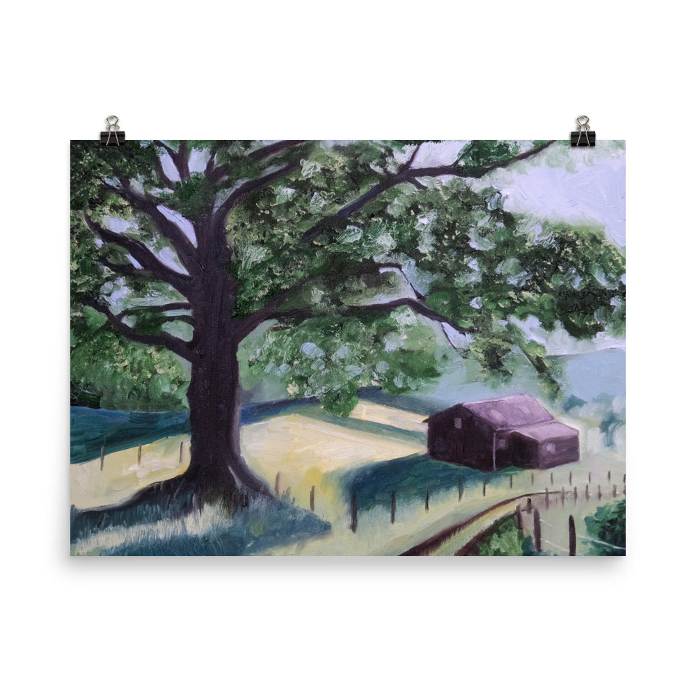 Oak tree and barn