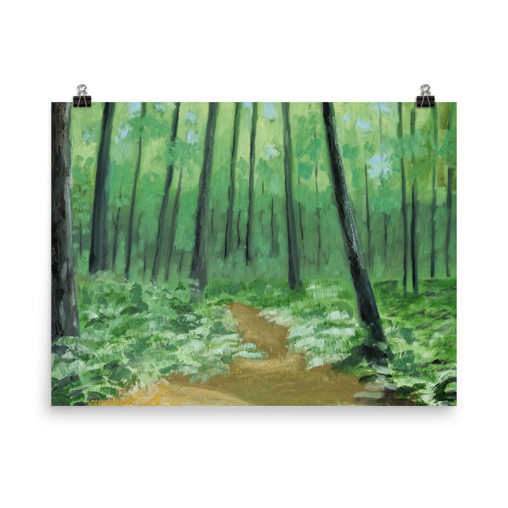 Landscape 3