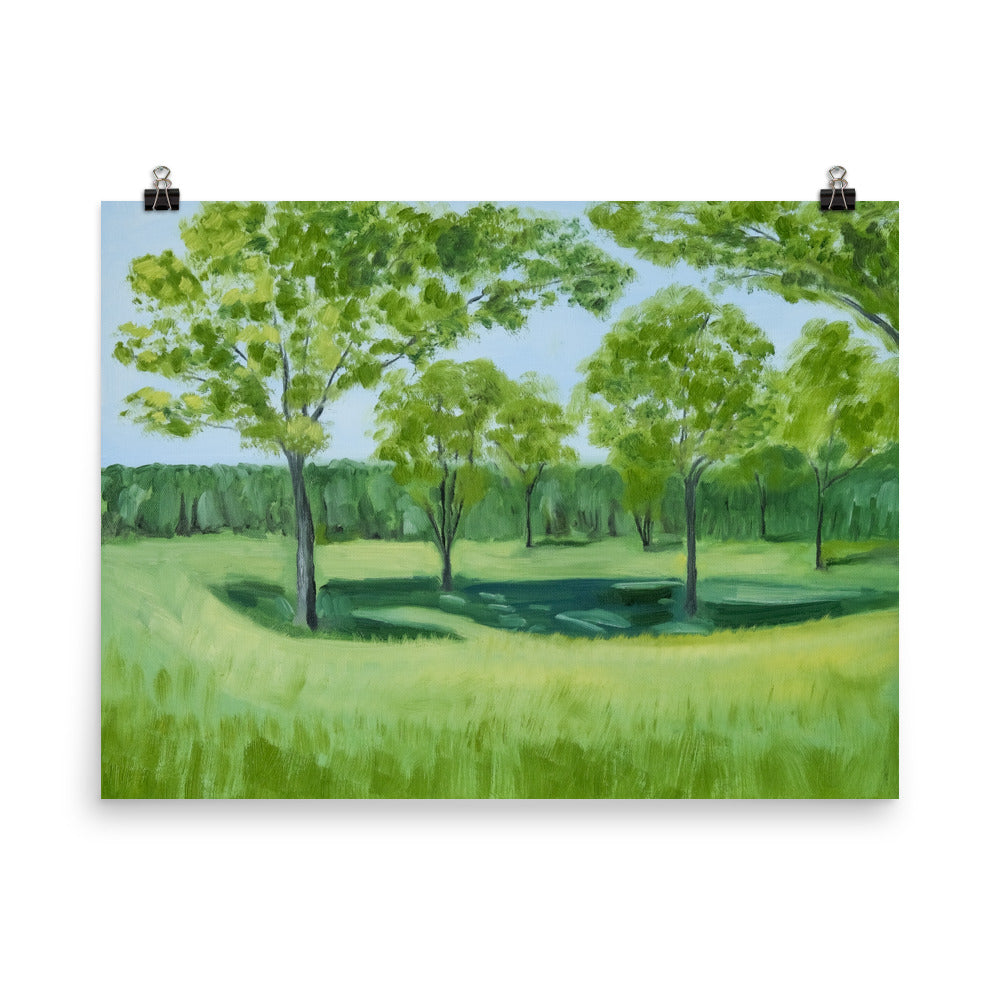 Landscape 4