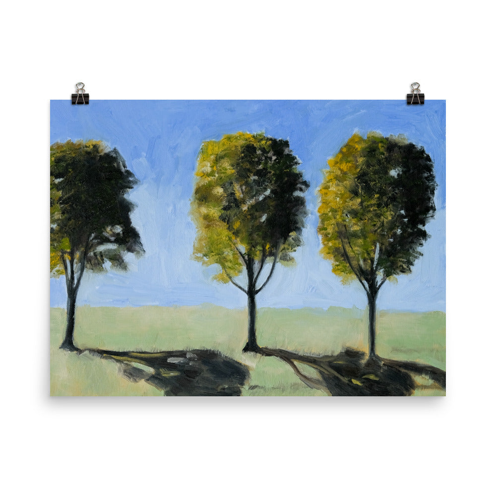Landscape 14
