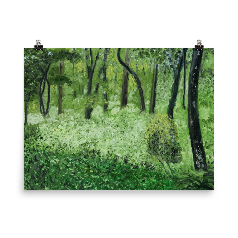 Landscape 24